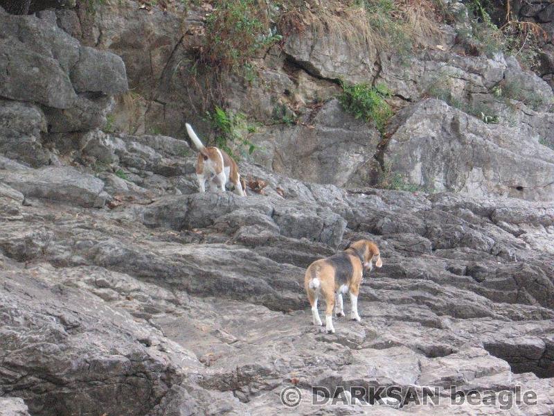 136-2012-09-19 014.jpg